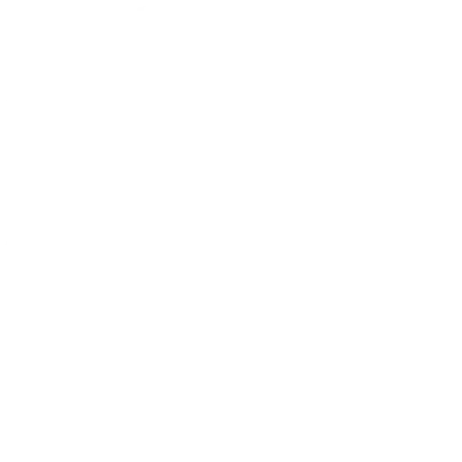 Car Audio